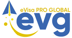 evisa pro global logo